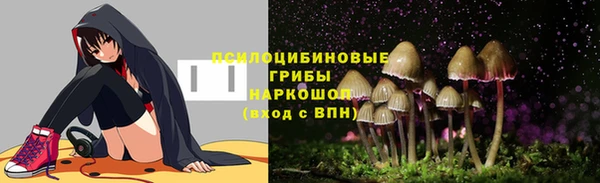 дмт Инсар