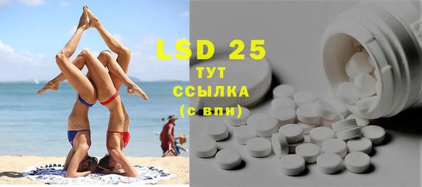 дмт Инсар