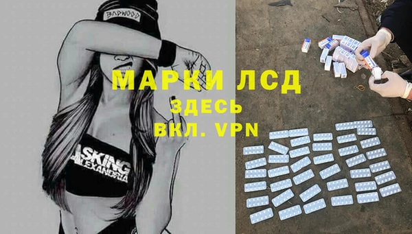 дмт Инсар