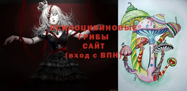 винт Каменск-Шахтинский